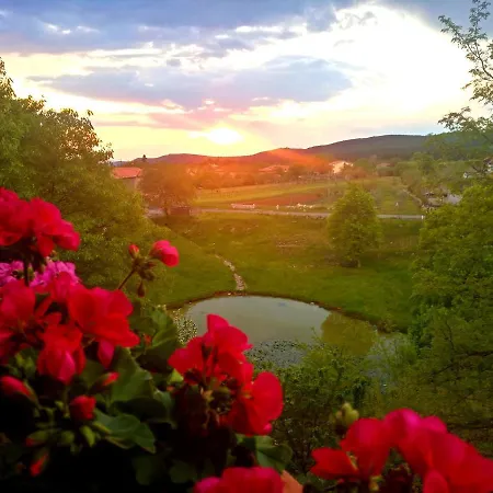 Krasberry Apartment Komen