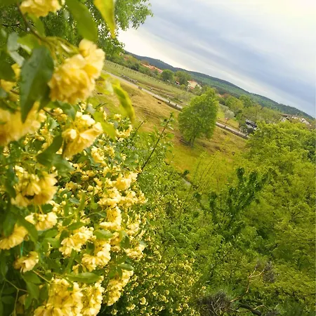 Apartment Krasberry *