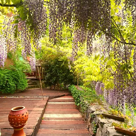 Krasberry Apartment Komen