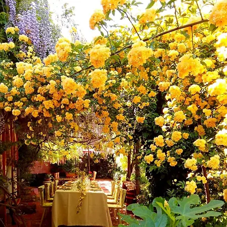 Krasberry Apartment Komen