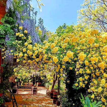 Apartman Krasberry Komen