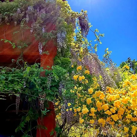 Krasberry Apartman Komen