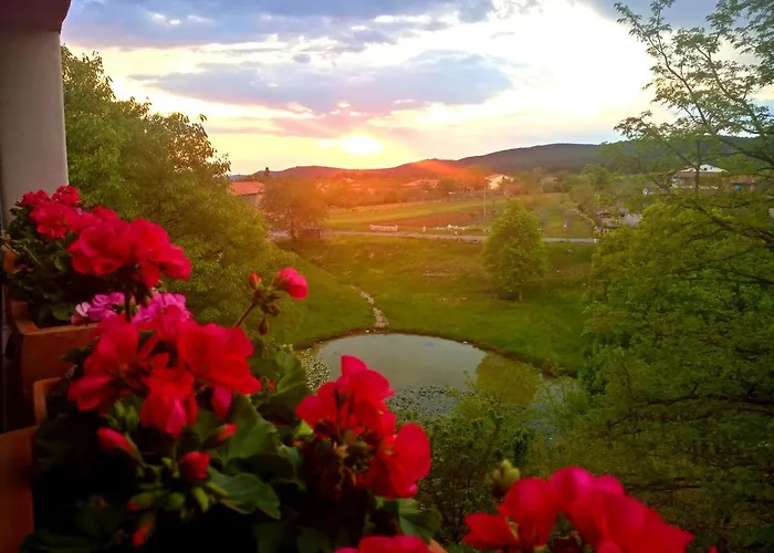 Krasberry Lägenhet Komen