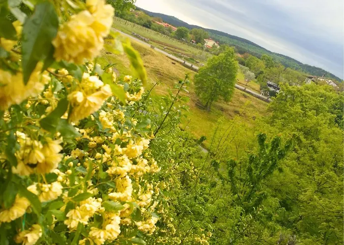 Lägenhet Krasberry *