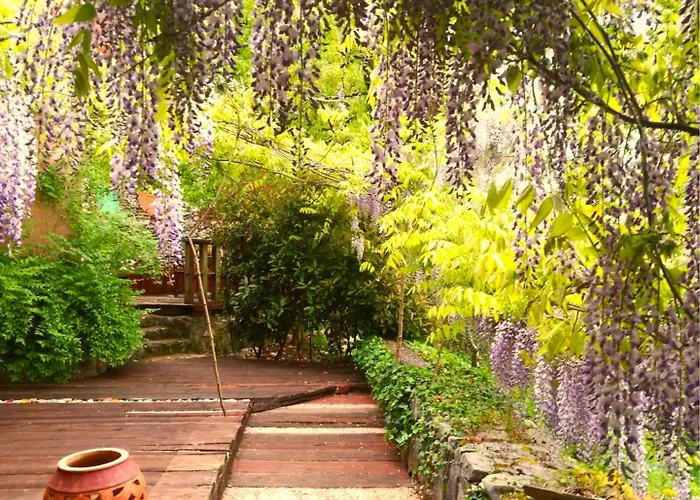 Krasberry Lägenhet Komen